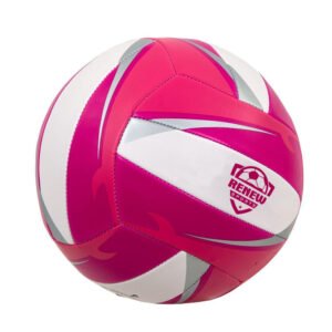 Volley Ball 
