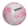 Volley Ball 
