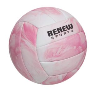 Volley Ball 