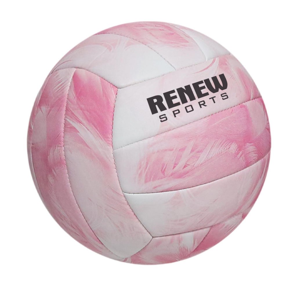 Volley Ball 